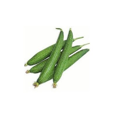 Ridge Gourd|Tori