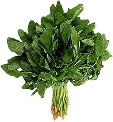 Copy of Chaulai Saag | Green