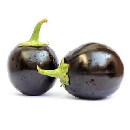 Eggplant | Round |