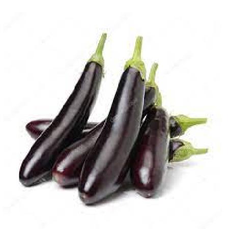 Eggplant | Long |