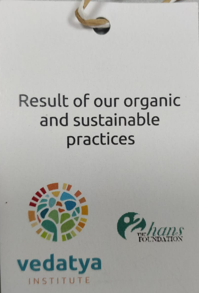 Paper Tag | Sustainability