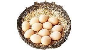 Eggs | Kadaknath | Pack of 12
